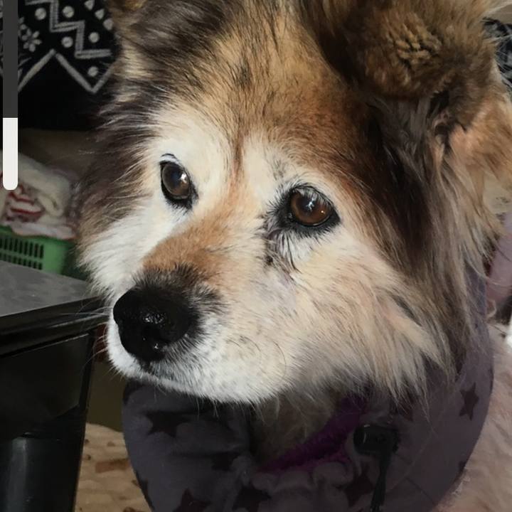 9556b30a 0a1d 4e5d bd17 d096c769eeb0 1639392625834