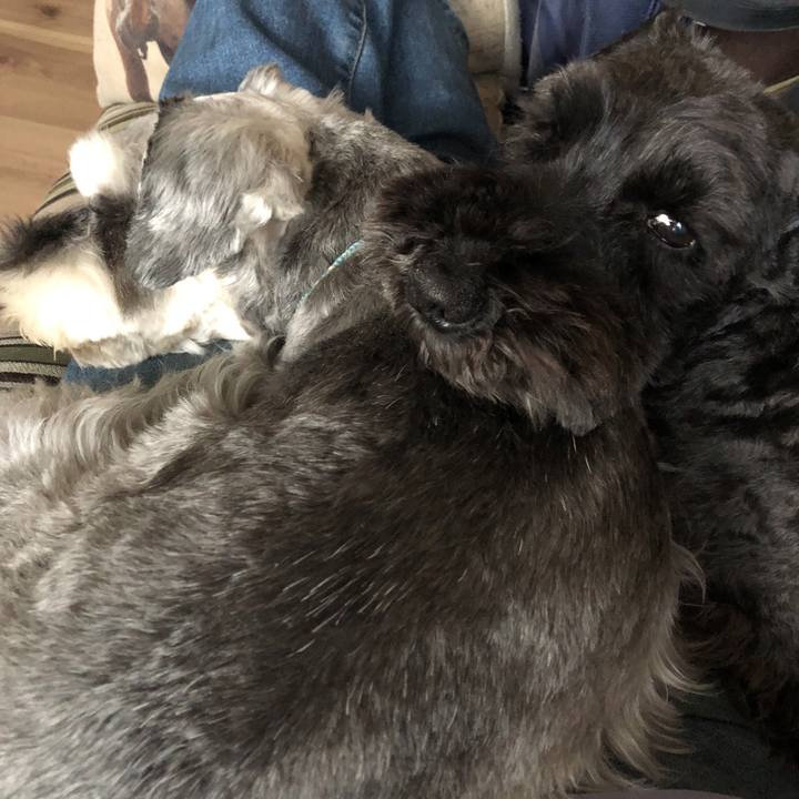 9556b30f 64cd 43a5 a2b8 f9296c78bb94 1584862496610