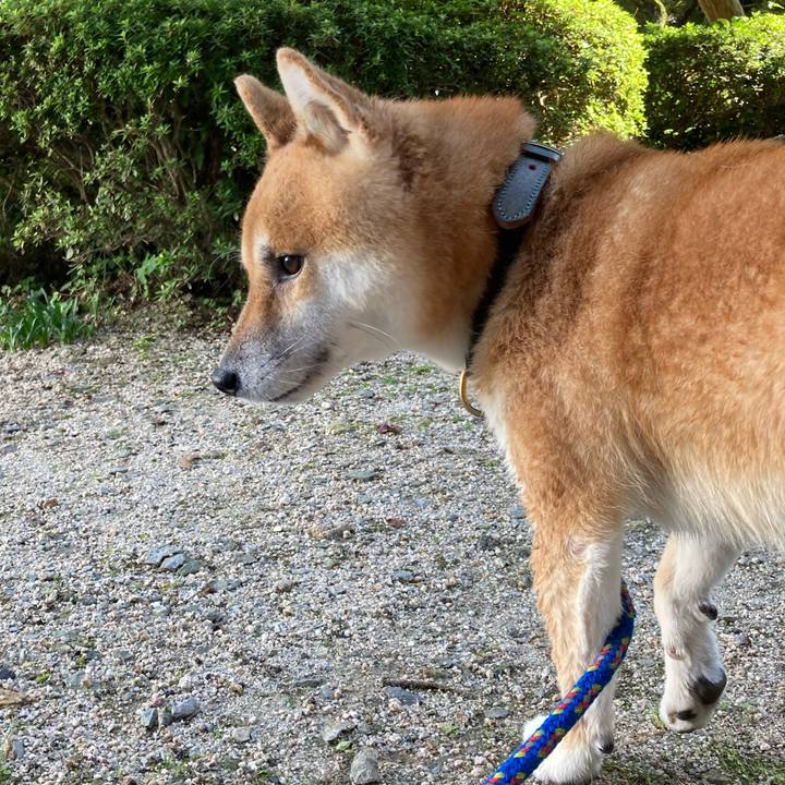 9556bbfb a048 4287 b2c0 88b0464f43f3 1633234503460