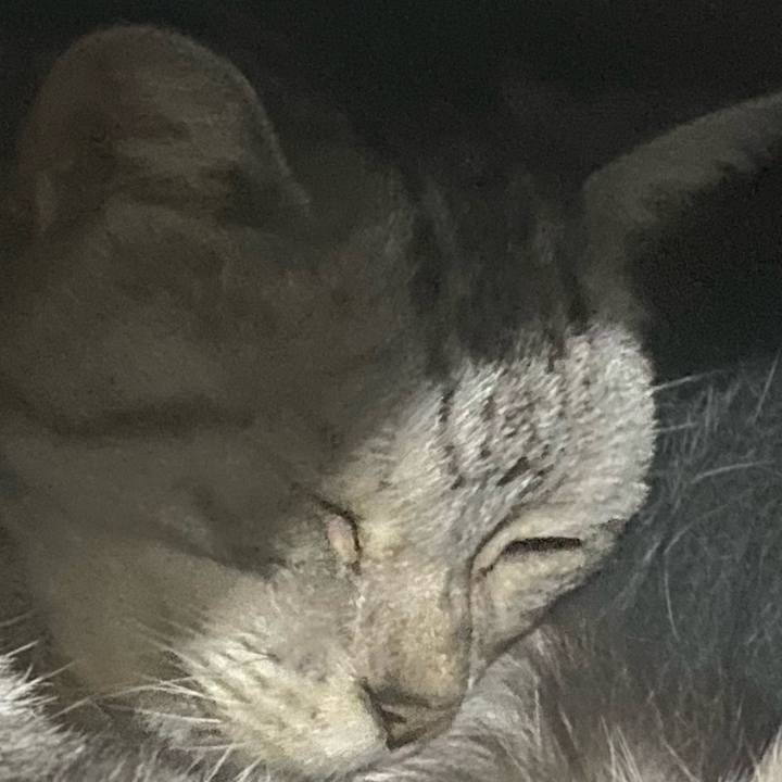 9556decd f83c 4308 8943 cbbbf4f503e5 1740919498837