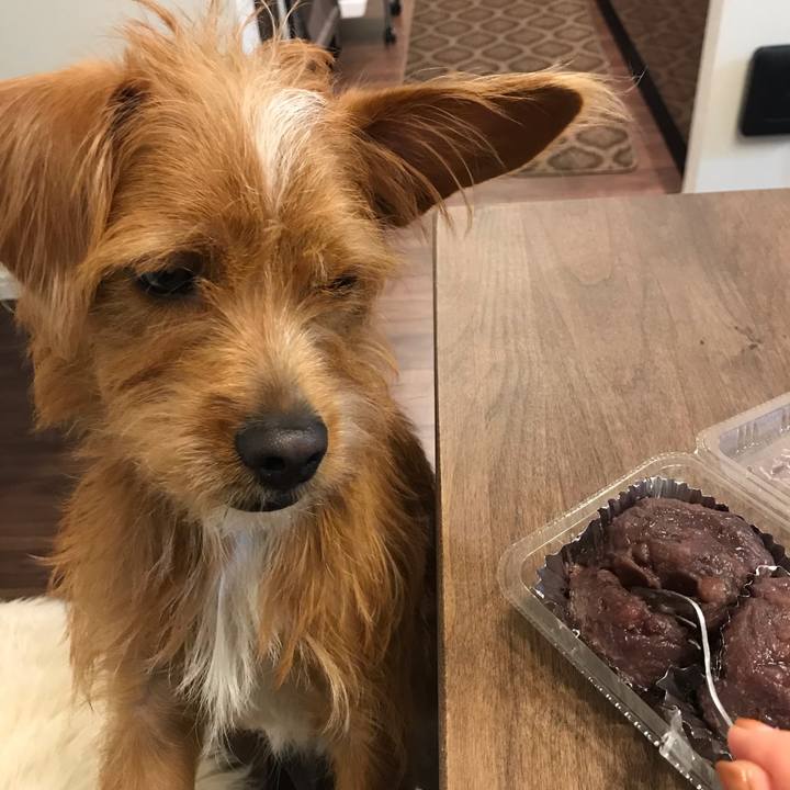 9556ed7c efe0 44e0 b770 b9b4b3c27693 1539689143378