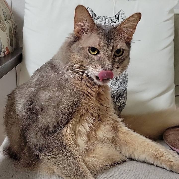 95571bed cb29 4015 85c9 74549e749e03 1669196295048