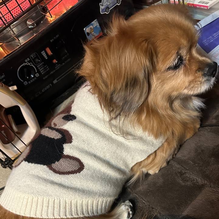 95572df0 e552 4331 803a 5721c7289cef 1735075958099