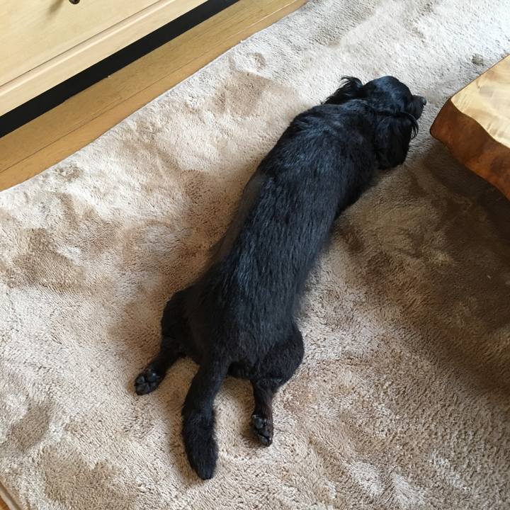 955783fa e35e 4549 9c53 5ba0cc1de0df 1519168092471