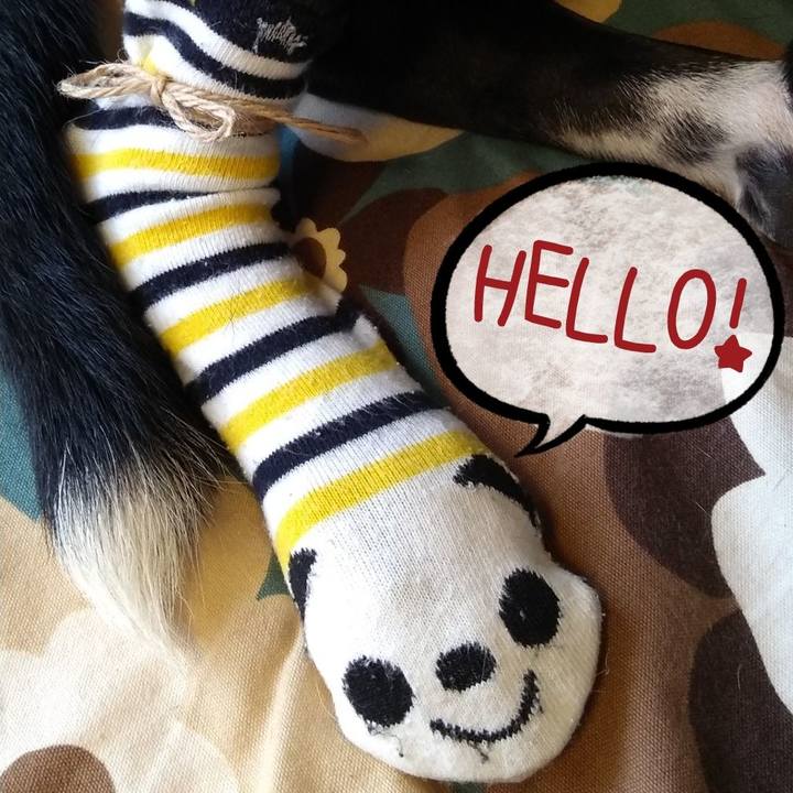 9557a7d0 50c5 46ad b558 ab170996f002 1596798660709