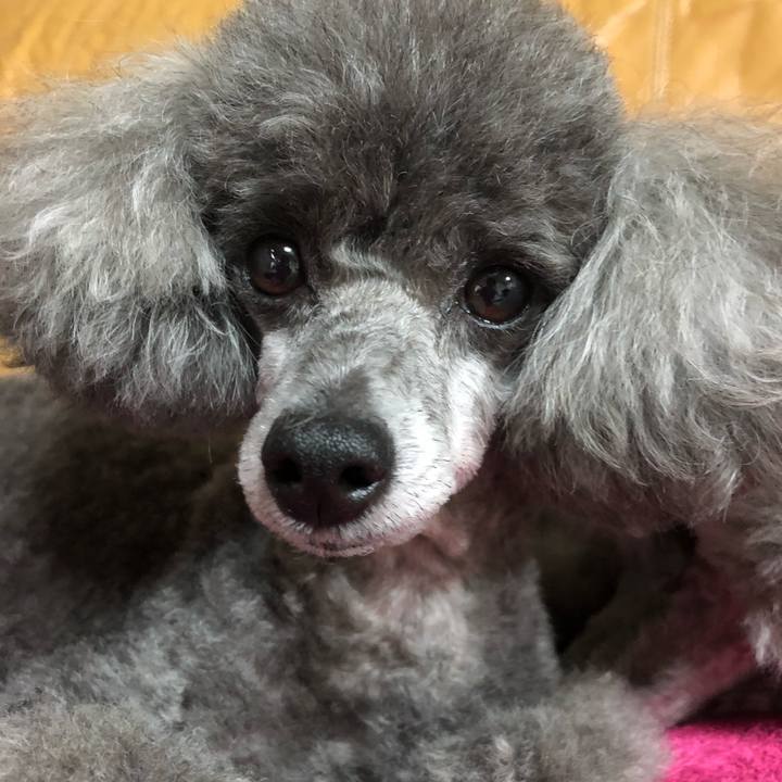 9557b5a9 e5cd 443b a0e6 e5ad67e4e3b3 1534637952742