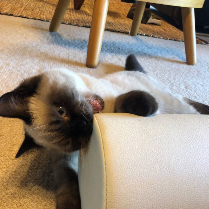 955847a8 e9b1 4ac4 a4e6 4cb8de1b3db6 1593423495805