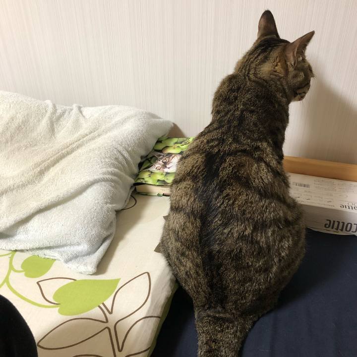 9558695a d552 44a7 a03b 3ca0e639b7ef 1528558335950