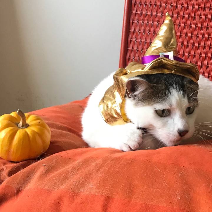 95586a55 1a51 42ab 8c14 f7084e311394 1540872620819