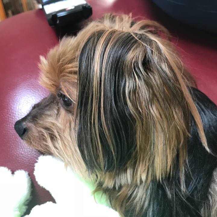 95587dfa e91e 4859 8ecc 0c3b78fa1440 1536193841176