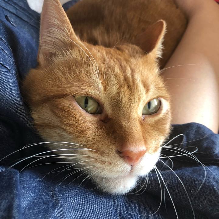 9558d255 ff8c 4d23 8daa b327552aa720 1619664493358