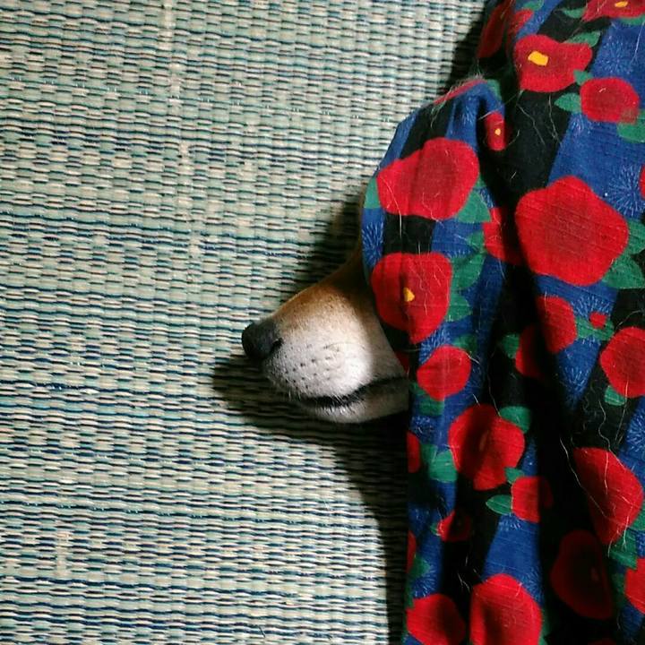 95591648 3fa9 4070 8e13 312320e7a9cc 1578491069667