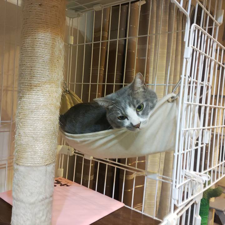 955931a5 f9ff 4b21 80a9 07b6652b3ec3 1662542517835