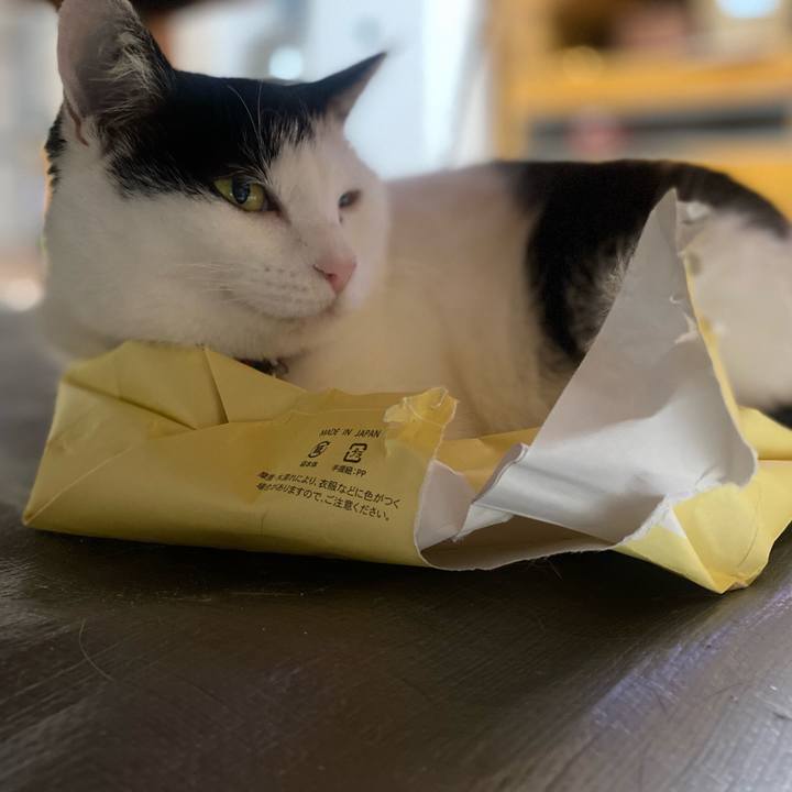 95596133 6283 4802 a0ac 32aa14f49f48 1652442637744