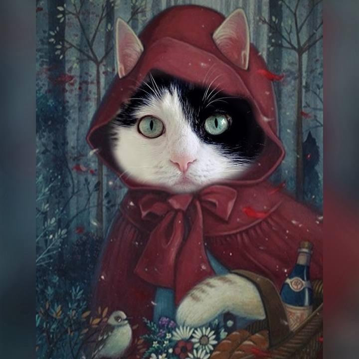 955975a8 1988 4ba9 8529 e5c2e4cb602c 1706829597403