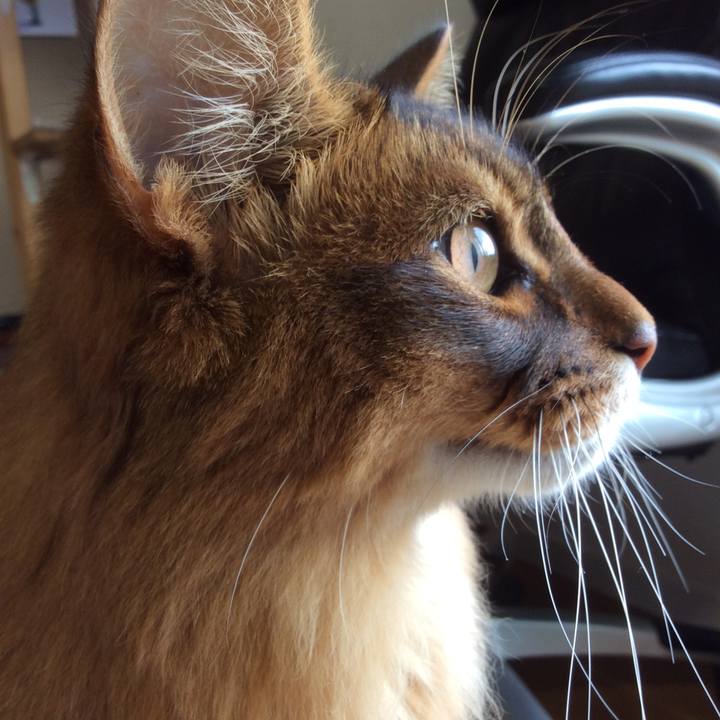 95597f70 be6d 4fa0 848f a4ec3c856169 1622766722858