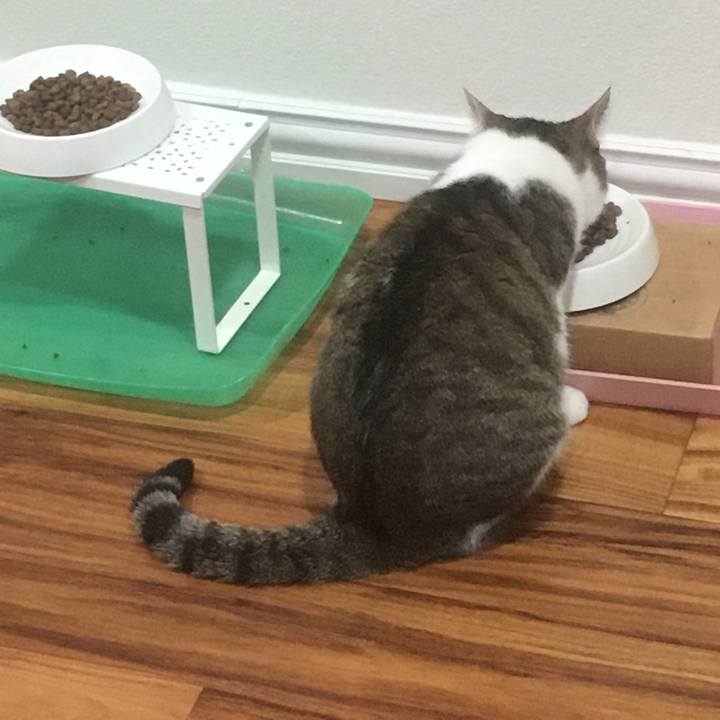 9559eae5 6428 4b7a afa8 a428840207b5 1654214231409