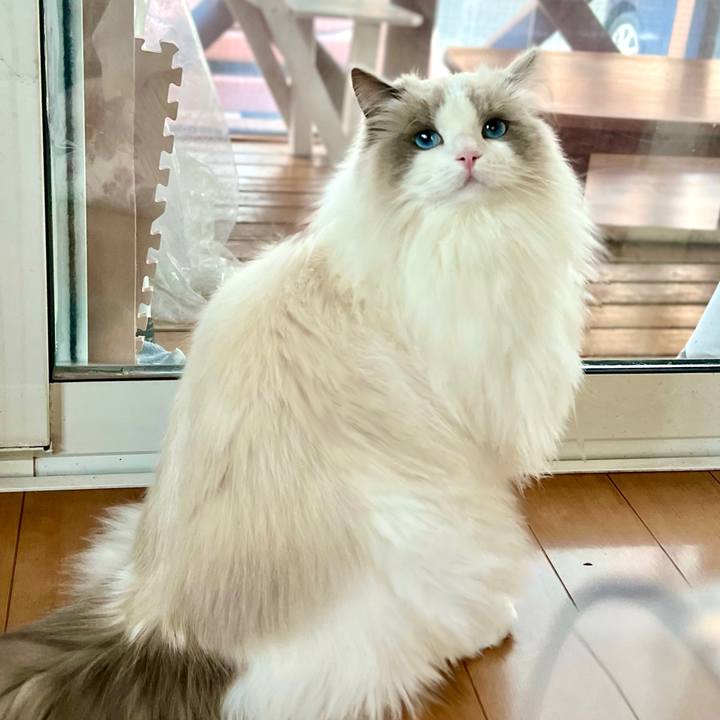 9559f37f 159f 4f5d af7d 39a00fae9fd4 1641544872739