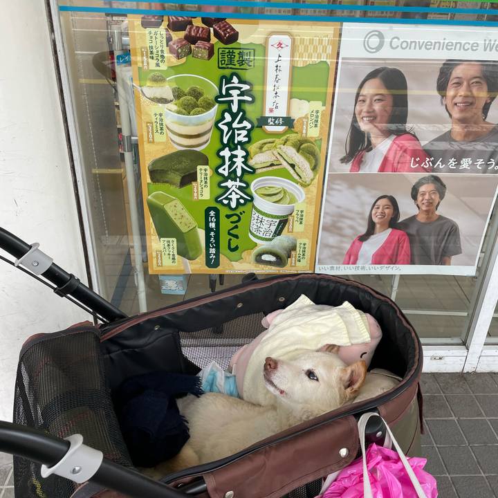 955a5b57 4849 4814 b921 74ce21b52a85 1680522285037