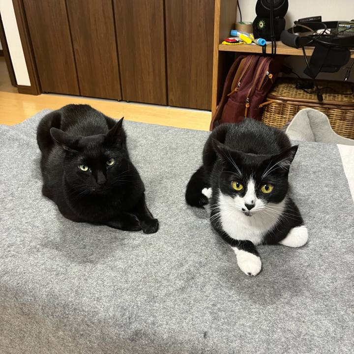 955aa09e ef50 4fc8 a551 3c26387152e0 1712580192006