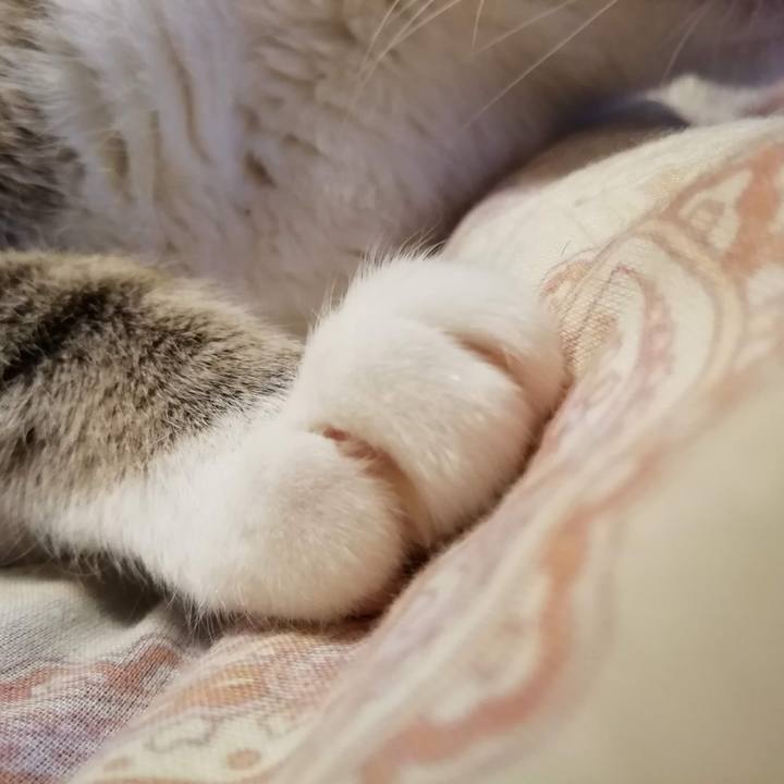 955ac4e3 7990 4150 9c36 fe6ef76d1def 1774911540964