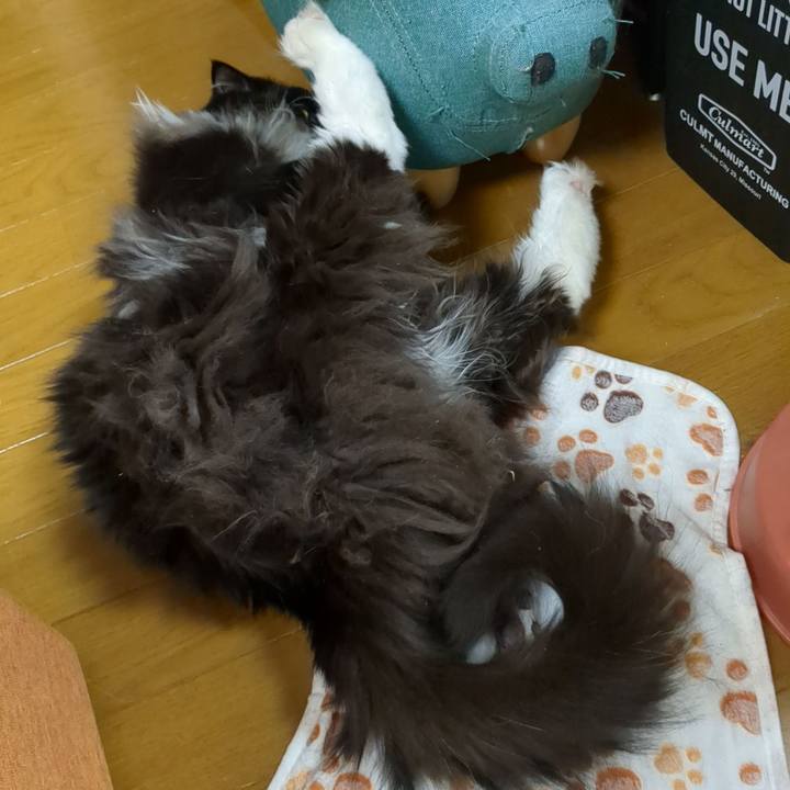 955ac697 949a 45bc b488 50b80a08ca27 1675074676835