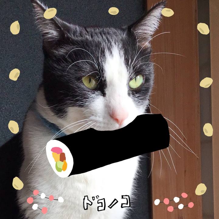 955ae246 db29 4fb1 a4ee d6355c29d013 1741512133713