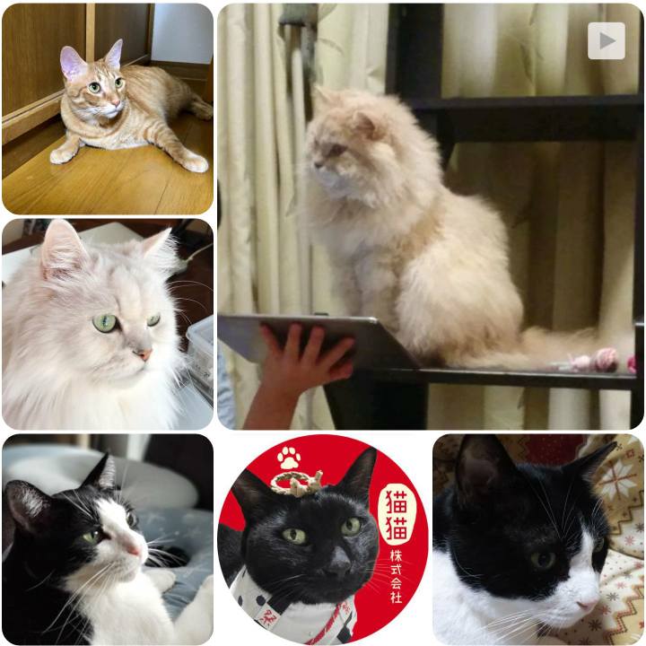 955b000c 4d4d 4632 a57c c94b40c34fe2 1567068418699