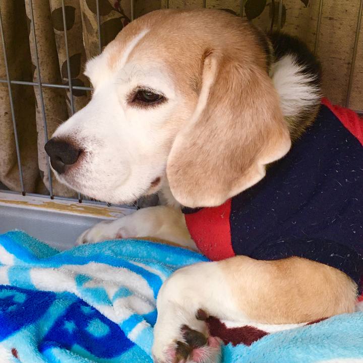 955b3f7f deb6 43a6 988d 441463d23afc 1575951495280