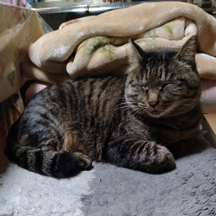 955b63d8 c044 4963 80c9 c3e71d836bf3 1670414284691