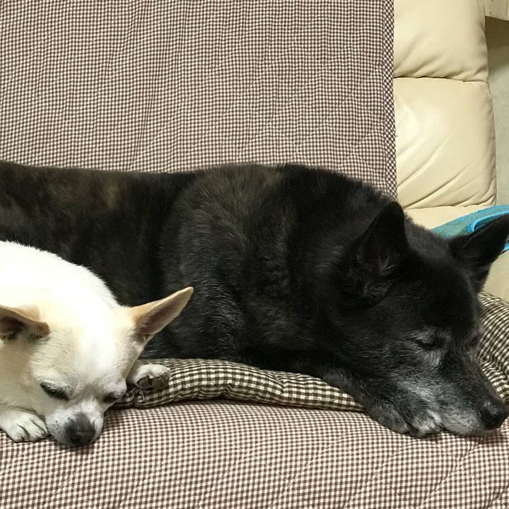 955b8d01 cab3 4114 8196 ac9433bf0c3d 1531576064672