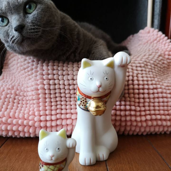 955bdb54 2271 4156 b531 95b6c0359cdb 1596960539168