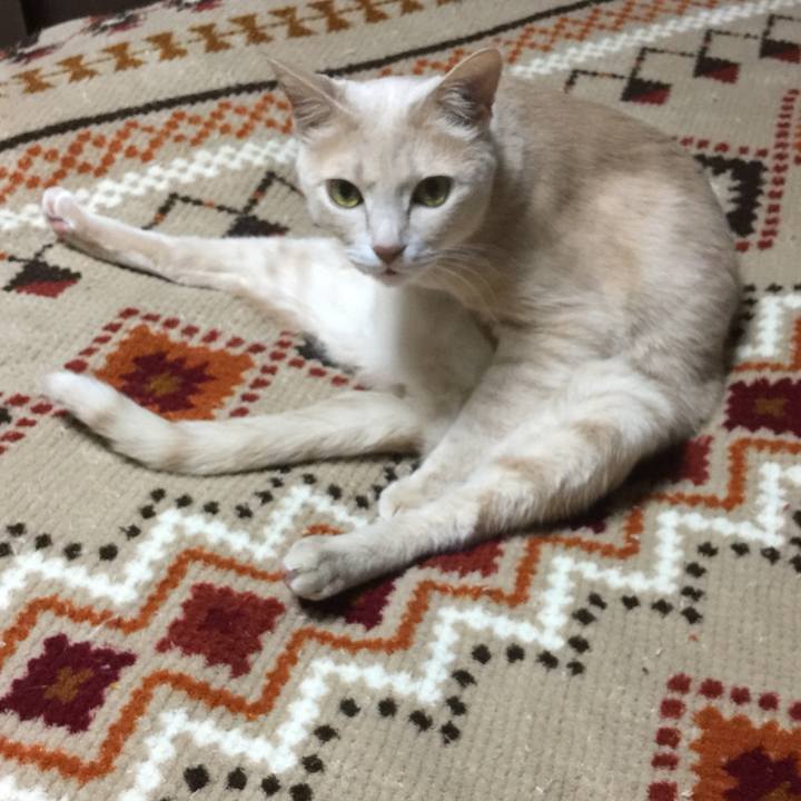 955c14f4 f73d 4ae2 861f 036934e6c9b8 1551494575515