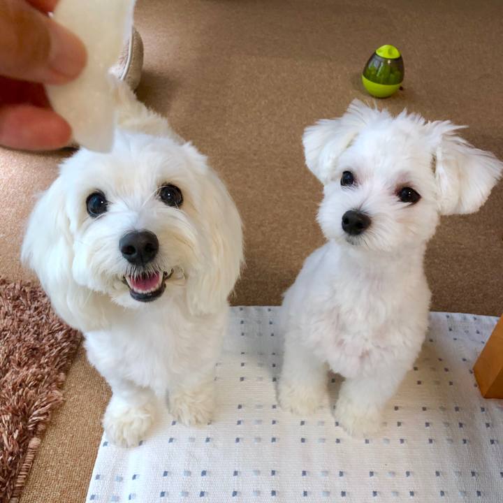 955c2727 9d7b 458e a305 80c4c4cc145b 1534053532194