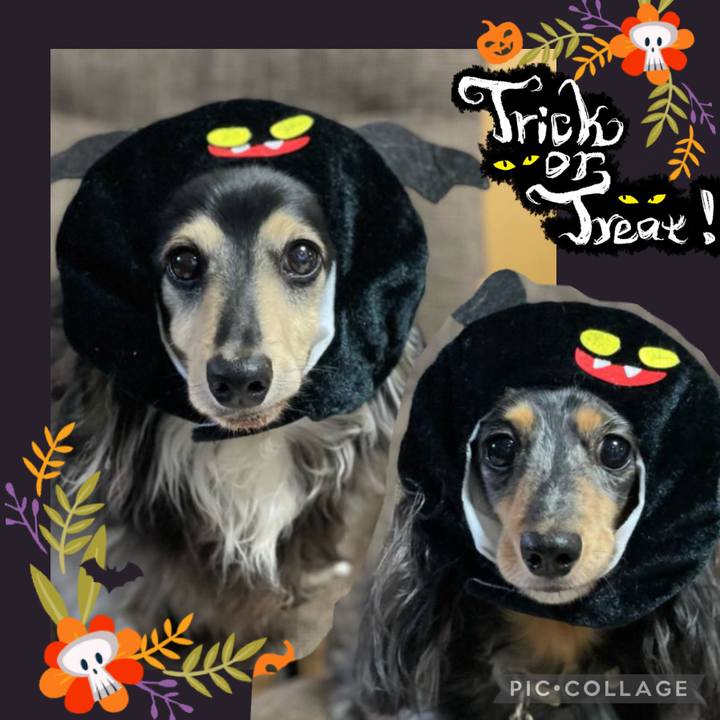 955c2bda 8971 40a7 a0c2 e85583ac9923 1697258749936