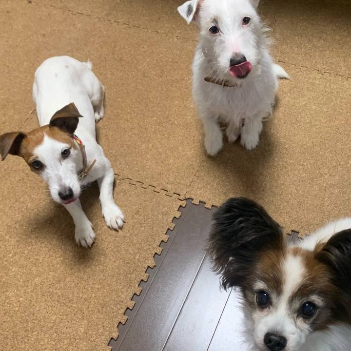 955c4a11 fb33 4f0c 9ed3 9b67cddb80fc 1764805960895