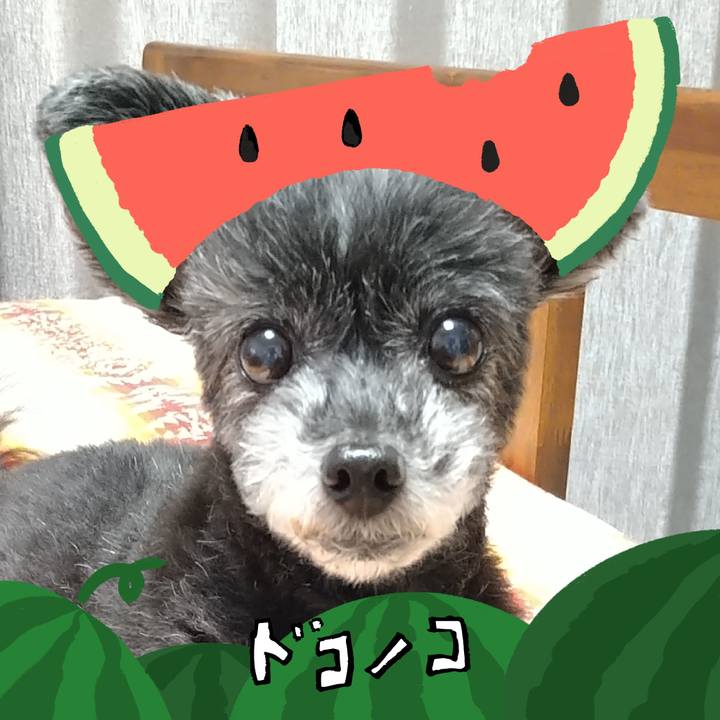 955c69cd 6550 40ba 84f9 fa7dff133d25 1720781092897