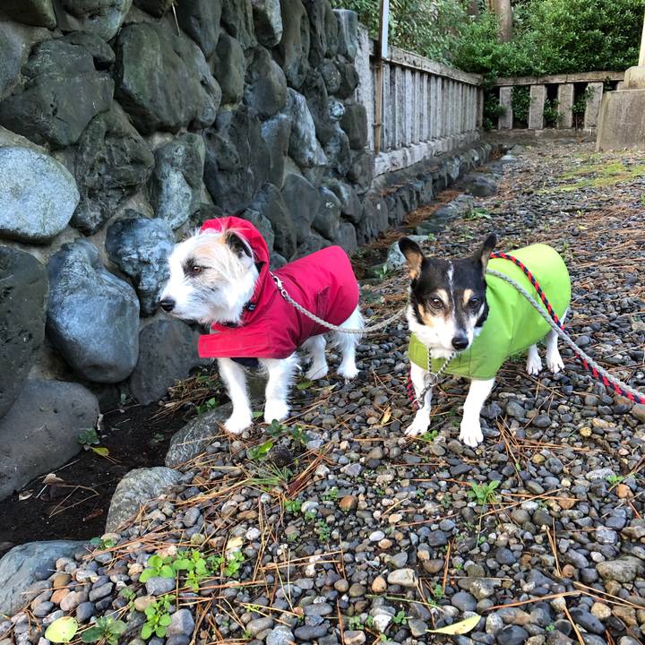 955c824d 1296 40a8 b261 b896a9aff0d9 1580430309634