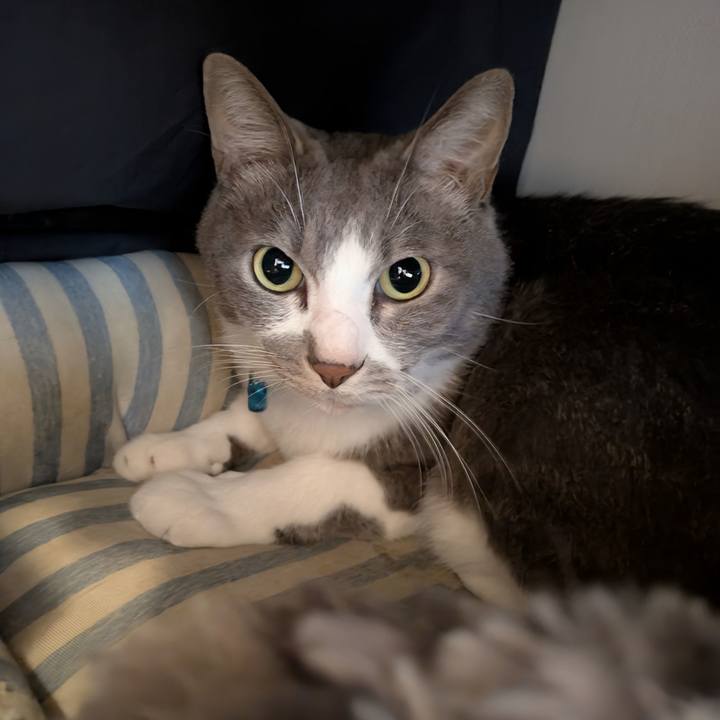 955c98c6 d60d 4485 8b46 f4fed5ebc5a1 1760230303227