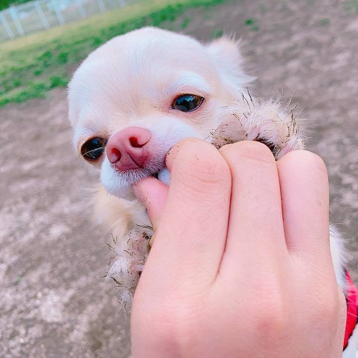 955ca116 66a1 4d81 8205 34b1b1e005cd 1620001748469