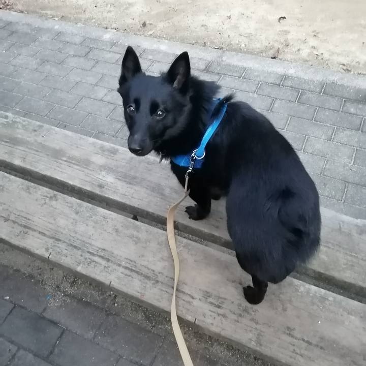 955ce803 b179 4e63 8303 7491b17bc62c 1611094491117