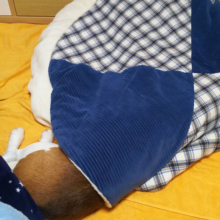 955d316a 8540 4c6b 90e2 ded17a3f1a38 1639150011268