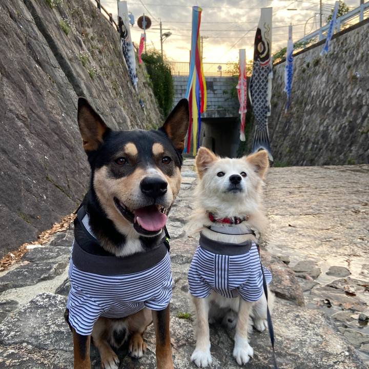 955d409e ef94 4ebb 9adc b29cd466b7c2 1651240861487