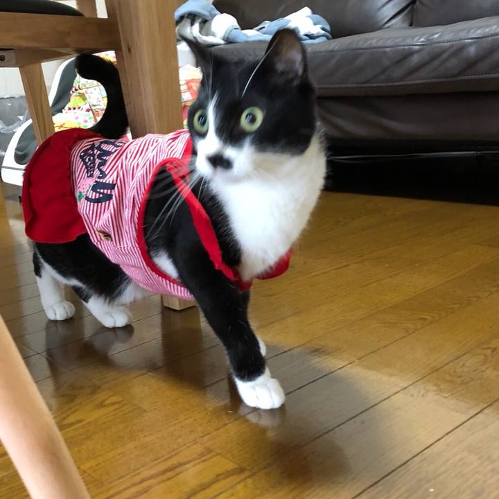 955d8389 b08d 4f4b 9a84 5595b569691c 1536796946242