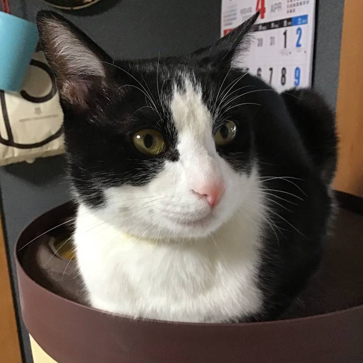 955d8e32 c9af 4307 9a12 fdda1c69dcb1 1651222101891