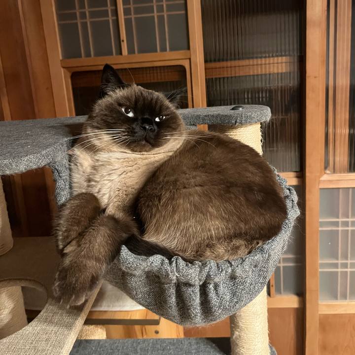 955daa8d de9f 4c8e 9a85 138665480d9a 1642076935601