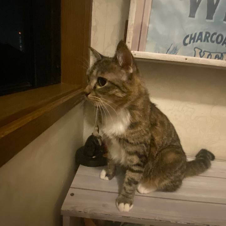 955db7e0 5bbe 41af 84b6 196b868a5af5 1600177504261