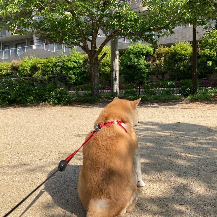 955e1ade b89f 45a0 bc5f 5b901492eb93 1619012913872