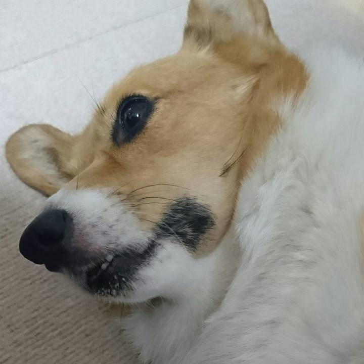 955e568e 676c 41f4 96ce 405cd36bb3d9 1525752452926