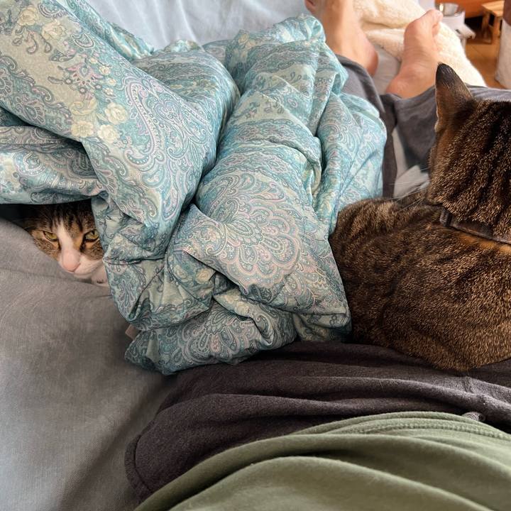 955e7464 ec54 4233 a390 4cb2e6988cf8 1739963033039